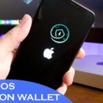 When will the iOS version of the SafeMoon Wallet be released, When iOS SAFEMOON Wallet For iPhones will Be Released, SafeMoon Wallet, safemoon coin news, safemoon coin update, safemoon coin, safemoon coin price, safemoon coinmarketcap, safemoon coin price inr, safemoon coin price prediction, safemoon coingecko, safemoon coin on wazirx, safemoon coinbase, safemoon coin available on which exchange, safemoon coin available in india, safemoon coin available on wazirx, safemoon coin available on which app, safemoon coin buy, safemoon coin buy in india,