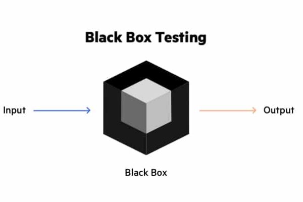 What is Black Box Testing? | Black Box Testing Techniques